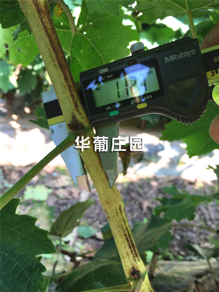25米x50米的游泳池需要配置多大規(guī)格的供水設(shè)備
