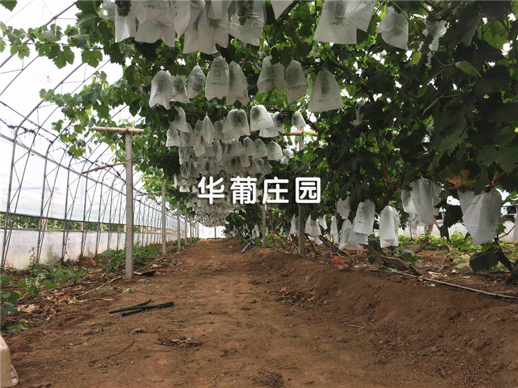 泳池水處理設(shè)備廠家教您游泳館必備配置